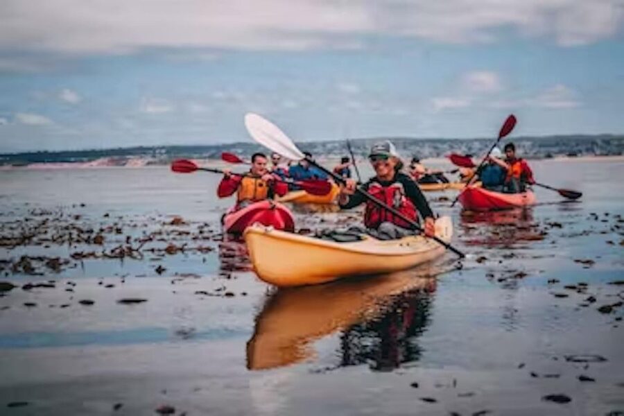 Monterey: Cannery Row Kayak Tour - How the Guide Makes It Worth It (Jan, Ann, and the Whole Team)