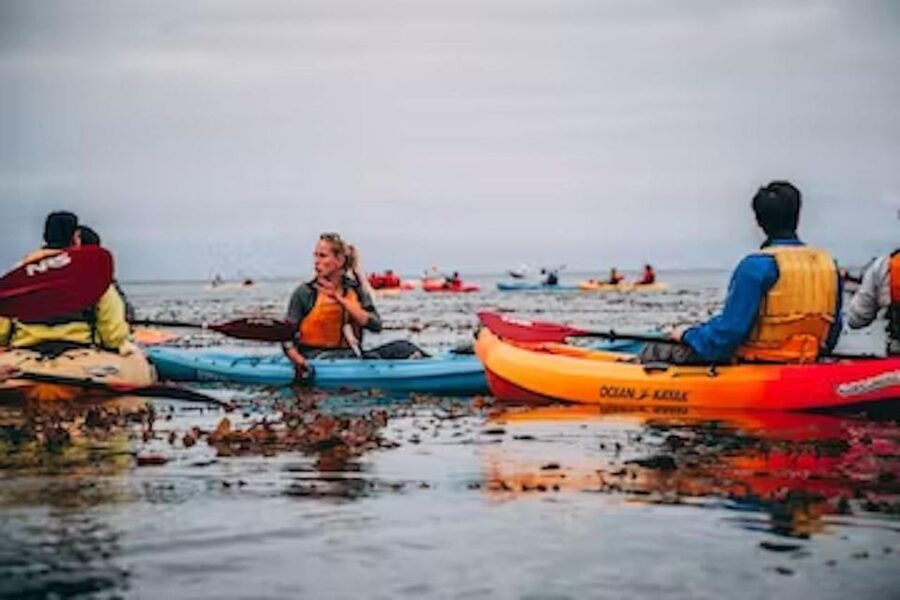 Monterey: Cannery Row Kayak Tour - Small Group Size (10 Max) and Why It Changes the Experience
