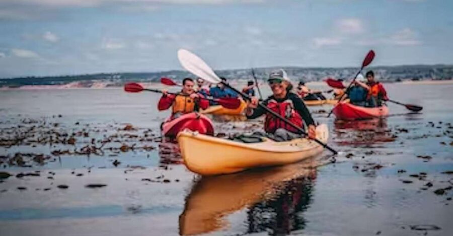 Monterey: Cannery Row Kayak Tour - The 2-Hour Route: Aquarium Views and Paddling Near the Coast Guard Pier