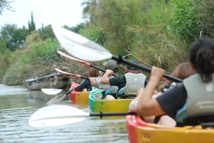 Montpellier : Birdwatching by kayak in the Camargue - Key highlights worth showing up for