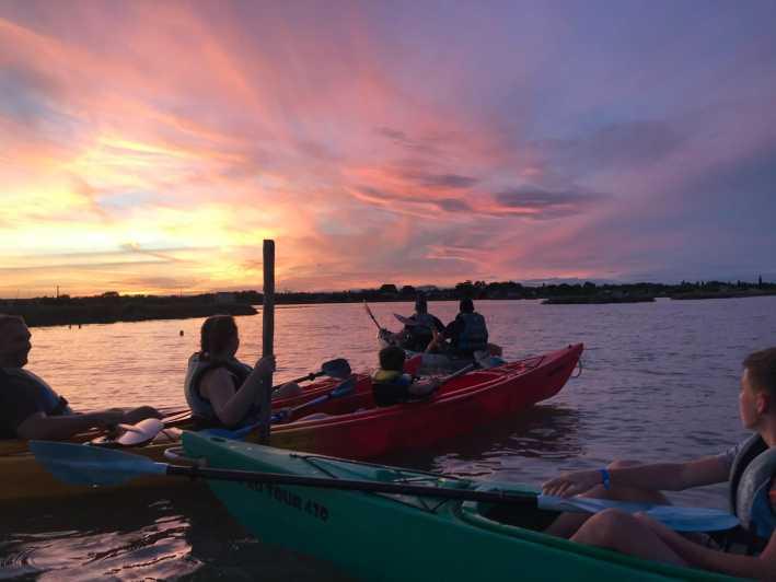Montpellier : Birdwatching by kayak in the Camargue - Kayaking into the Petite Camargue near Montpellier