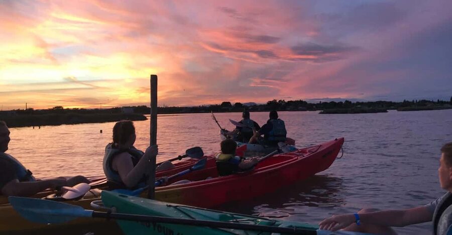 Montpellier : Birdwatching by kayak in the Camargue - The 2-hour rhythm on the water (and why breaks matter)