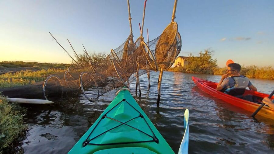 Montpellier : Birdwatching by kayak in the Camargue - Sunset in pink-orange color: morning vs evening