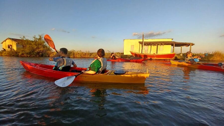 Montpellier : Birdwatching by kayak in the Camargue - Price and what you’re really paying for (about $76 for 2 hours)