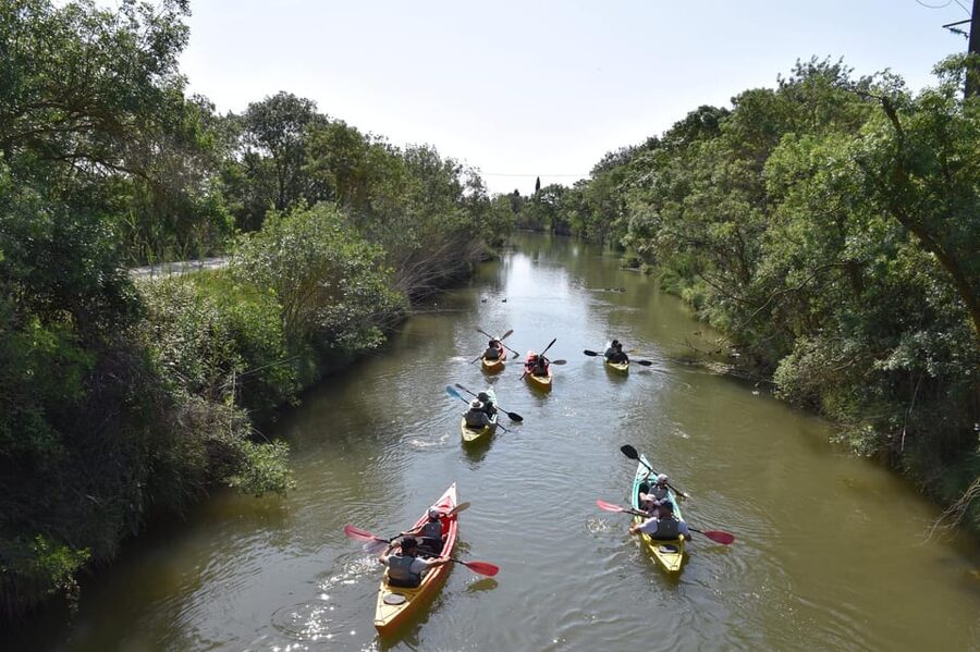 Montpellier : Birdwatching by kayak in the Camargue - Who should book, and who should skip