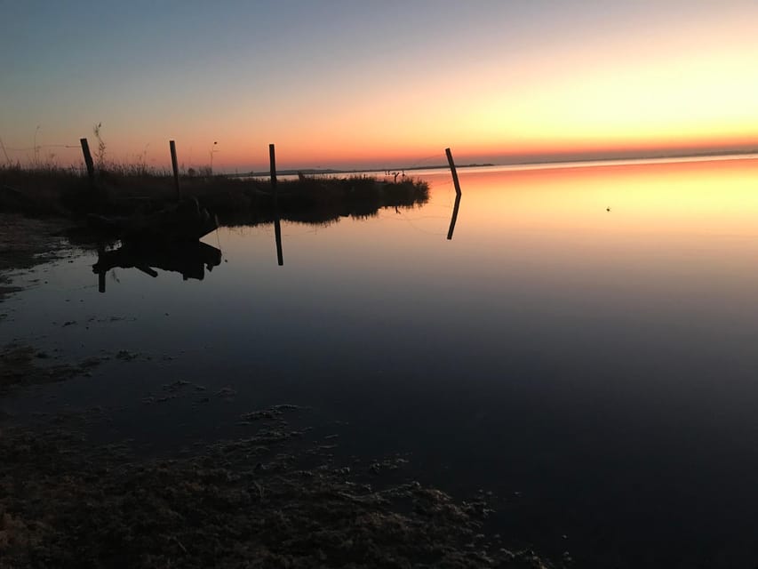 Montpellier : Birdwatching by kayak in the Camargue - Small-group pacing: the good part and the one potential snag