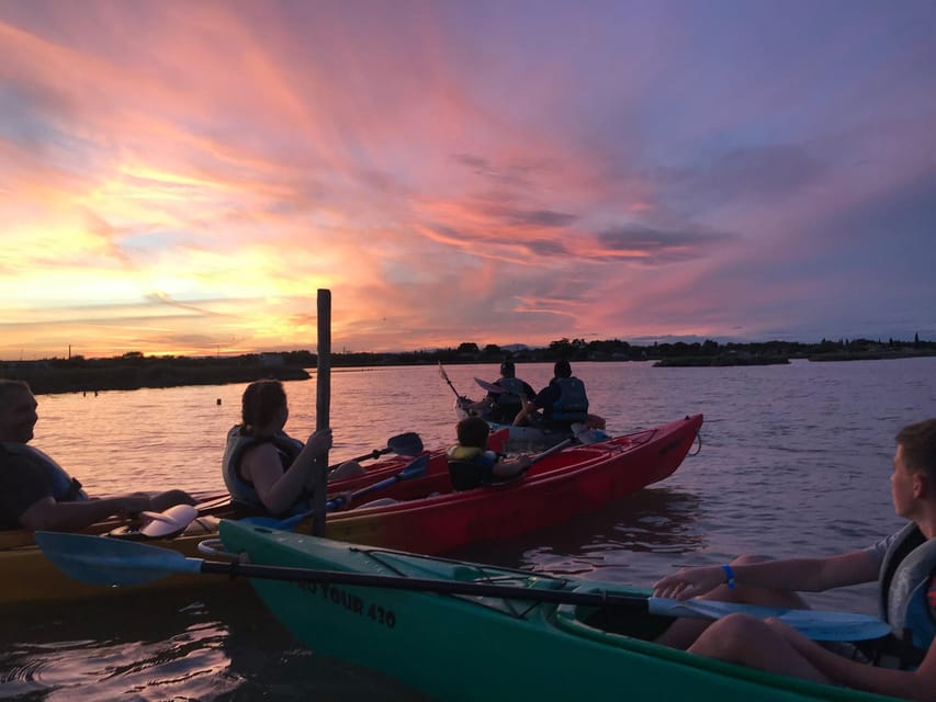 Montpellier : Birdwatching by kayak in the Camargue - Your kayak setup: stable boats, life jackets, and gear you’ll actually use