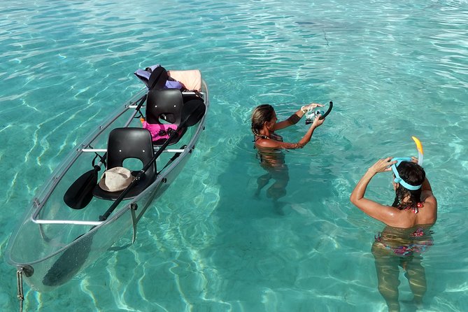 Moorea Lagoon Tour by Transparent Kayak - Sharks and Stingrays: The Part You Should Prepare For