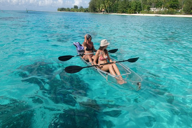 Moorea Lagoon Tour by Transparent Kayak - Guides, Small Groups, and Why It Feels Personal