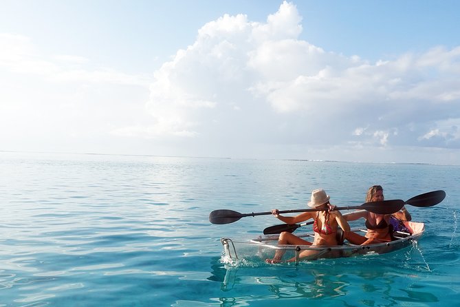 Moorea Lagoon Tour by Transparent Kayak - The Lagoon Stops: Reef Viewing, Then Shark and Stingray Time