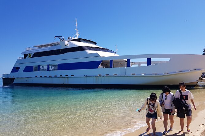 Moreton Island Day Trip (Kayak, Snorkel & Sandboard) frm Brisbane or Gold Coast - Tangalooma Wrecks: snorkeling and transparent viewing options