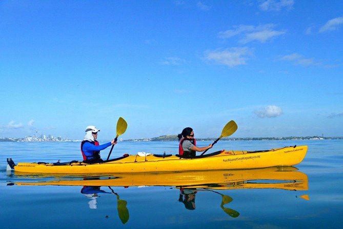 Motukorea / Browns Island Sea Kayak Journey - Price and Value: What $121.01 Buys You in Auckland