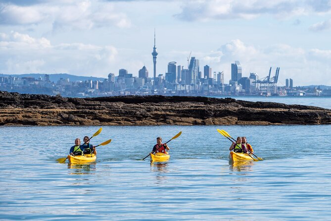 Motukorea / Browns Island Sea Kayak Journey - Pest-Free Rules: The Part That Protects the Gulf (and Your Trip Flow)
