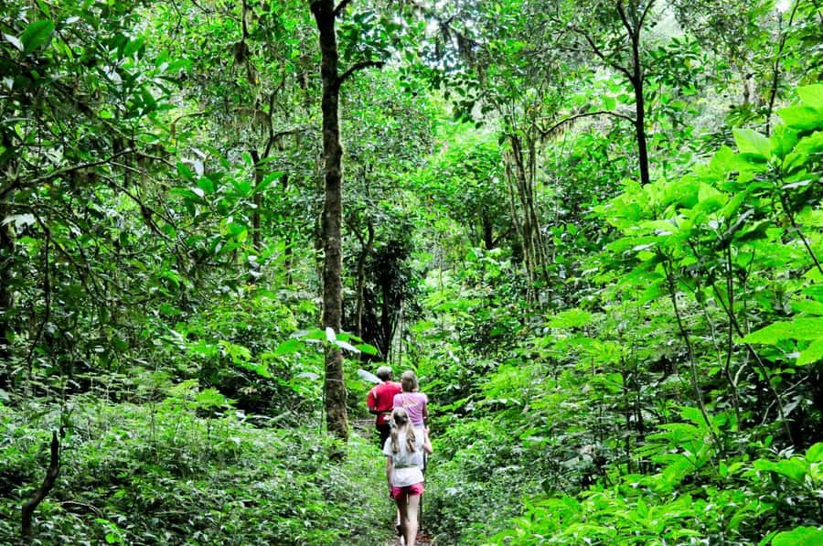 Munduk: Twin Lakes Jungle Hike with Lake Canoe and Waterfall - Key Points I’d Prioritize Before You Go