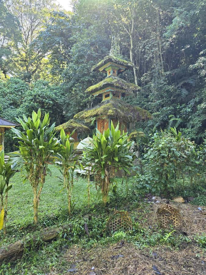 Munduk: Twin Lakes Jungle Hike with Lake Canoe and Waterfall - The Jungle Trek On Foot: Comfortable, but Not Flat