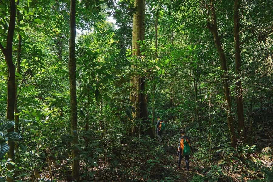 Munduk: Twin Lakes Jungle Hike with Lake Canoe and Waterfall - What This Tour Is Best For (and Who Should Skip It)