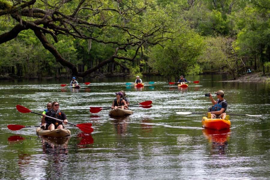 Myrtle Beach: Waccamaw River Kayak Island Tour - Key Highlights You’ll Feel on This Waccamaw River Kayak Tour