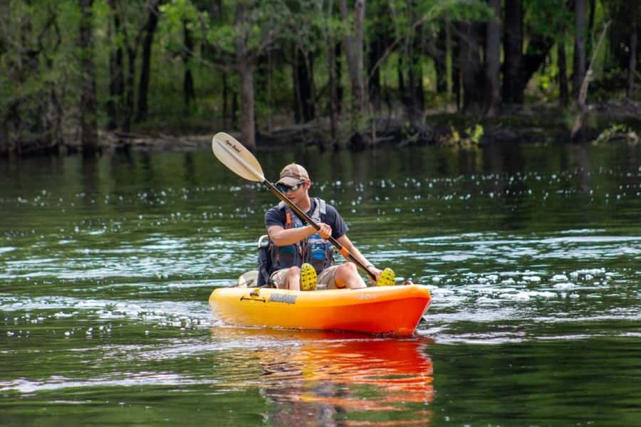 Myrtle Beach: Waccamaw River Kayak Island Tour - Waccamaw River Meets a Private 48-Acre Island