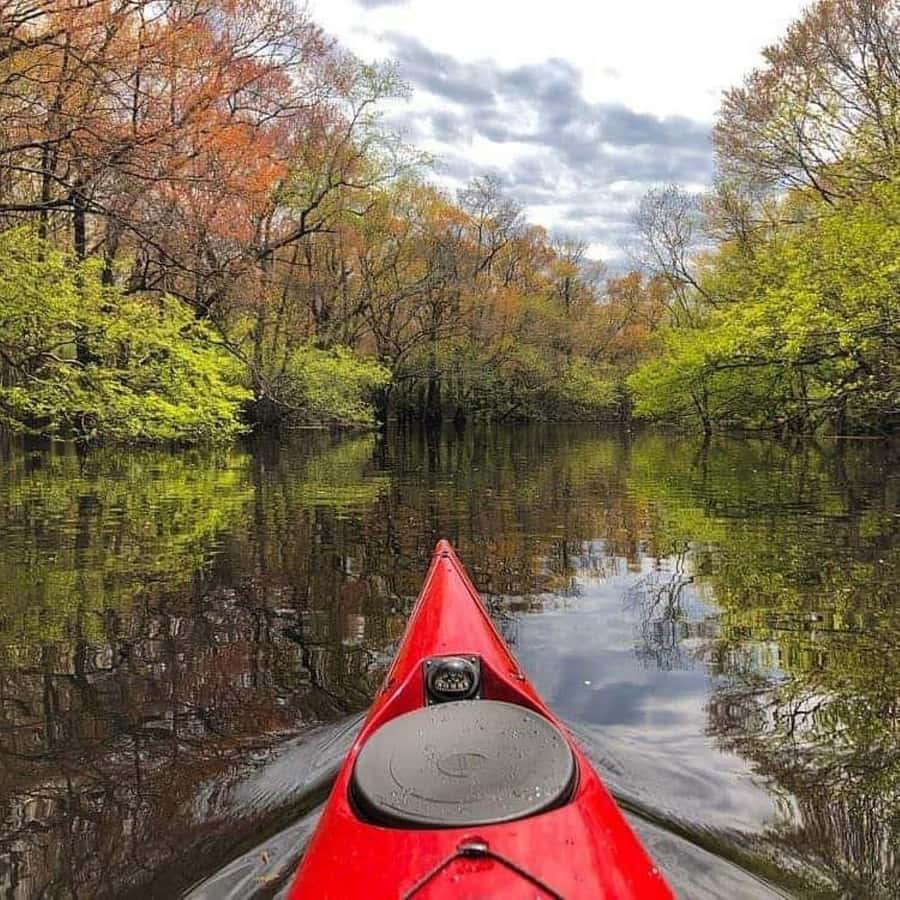 Myrtle Beach: Waccamaw River Kayak Island Tour - 2 Hours on the Water: How the Kayak Portion Actually Feels