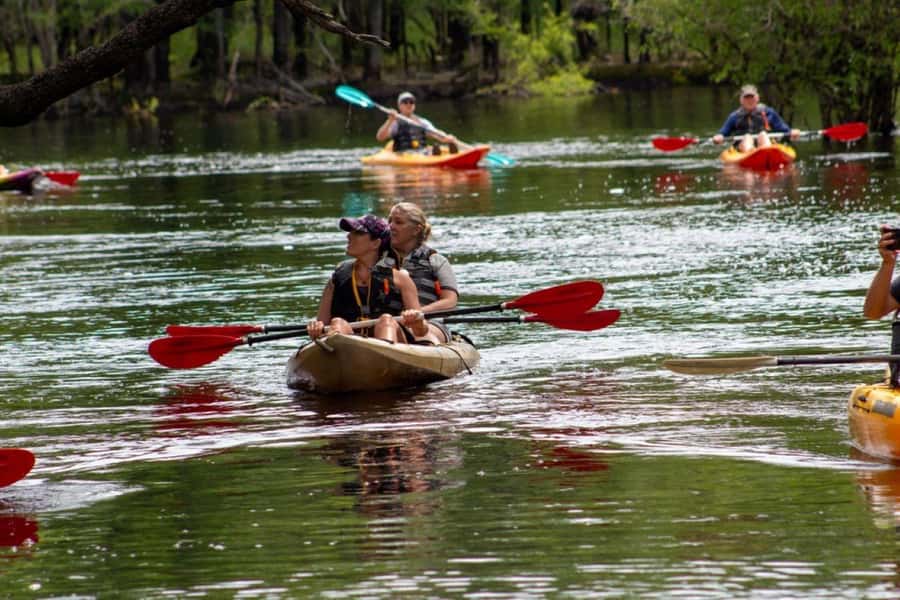 Myrtle Beach: Waccamaw River Kayak Island Tour - Meeting at River Island Outpost: Quick Setup, Then You’re Off
