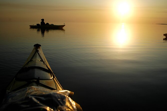 Nags Head Kayak Tour - Why the Nags Head Kayak Tour Works So Well: Roanoke Sound, Marsh Canals, and Birds