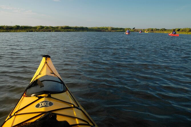 Nags Head Kayak Tour - Cape Hatteras National Seashore Area: How the Tour Route Keeps Wildlife in Play