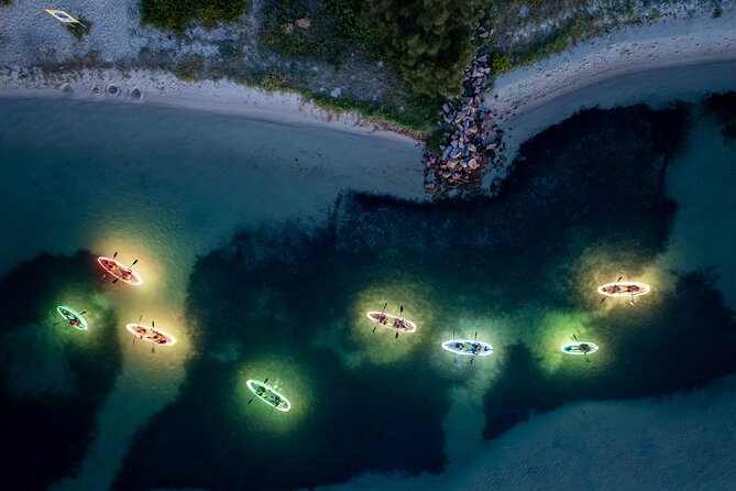 Naru Beach Night Kayak Tour - Why Lake Macquarie at night feels so special
