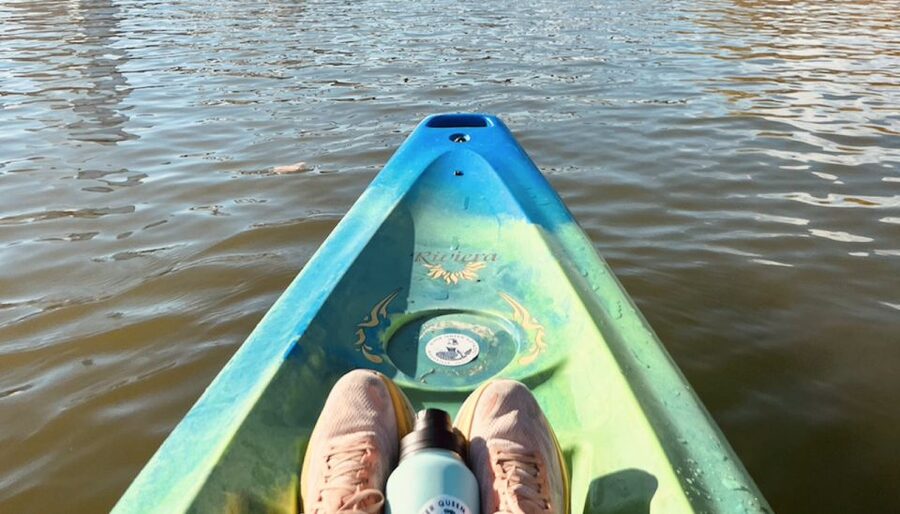 Nashville: Downtown Kayak Rental with Shuttle - Wildlife and River Views: Why the Best Moments Aren’t the Buildings