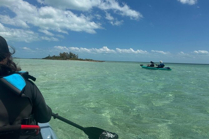 Nassau's Exclusive Kayaking Snorkeling Beach Adventure (6 Max) - What you’re really paying for: value of a $230 small-group day