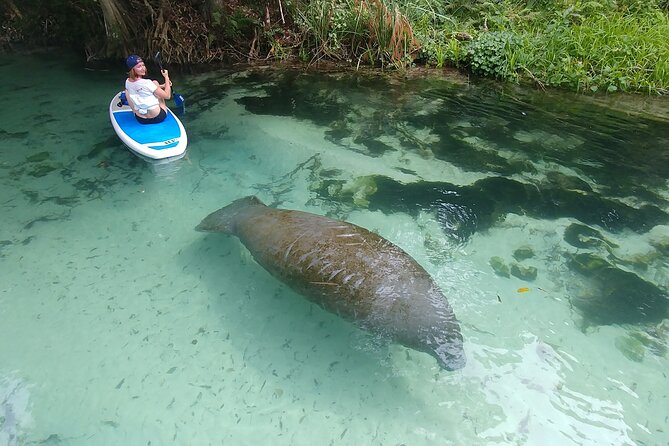 Nature & Island Exploration on SUP/Kayak - Key things to know before you go