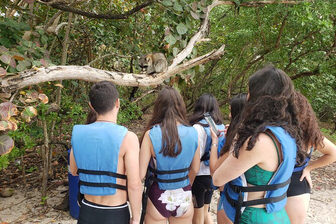 Nature & Island Exploration on SUP/Kayak - North Miami meeting point: where your afternoon really starts