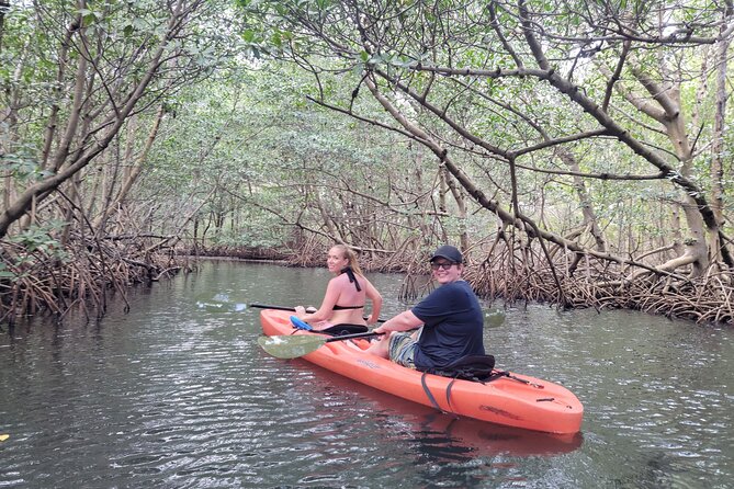Nature & Island Exploration on SUP/Kayak - Parking, rain, and the practical stuff you’ll want to know