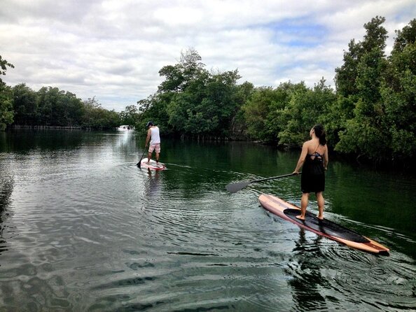 Nature Stand Up Paddle Boarding Experience in Miami - Key highlights worth planning around