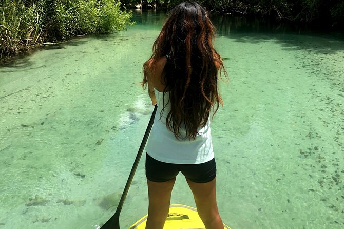 Nature Stand Up Paddle Boarding Experience in Miami - What makes this Miami SUP tour feel like a nature escape