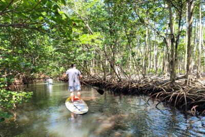 Nature Stand Up Paddle Boarding Experience in Miami - Oleta River State Park start: your first 10 minutes on a SUP