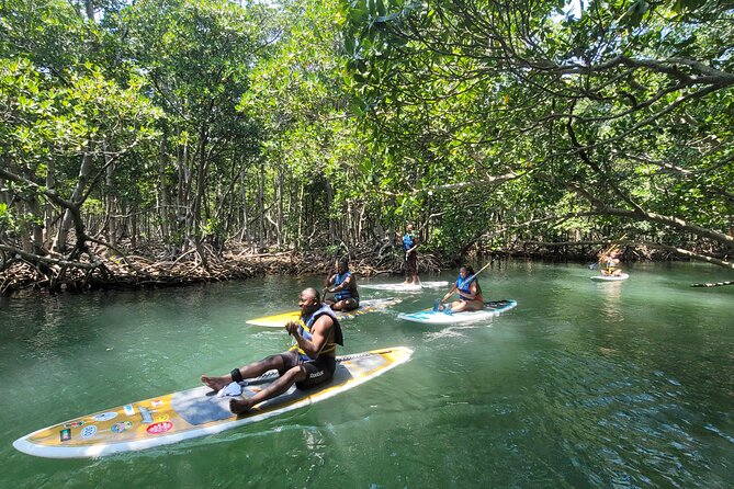 Nature Stand Up Paddle Boarding Experience in Miami - Price and value: is $69 for 2 hours a fair deal