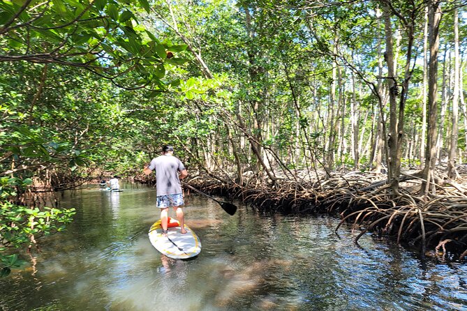 Nature Stand Up Paddle Boarding Experience in Miami - Oleta River State Park start: your first 10 minutes on a SUP