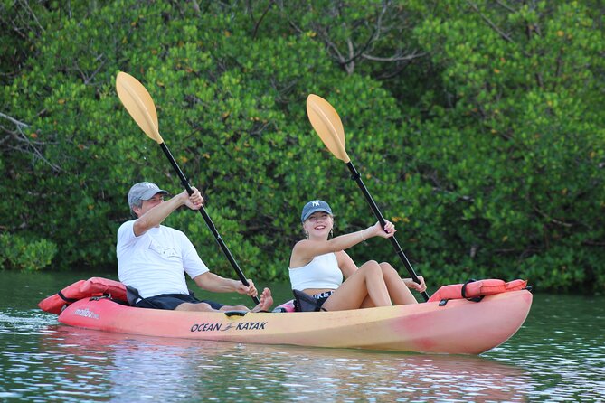Nauti Exposures - Guided kayak tour through the Mangroves - Quick hits before you go