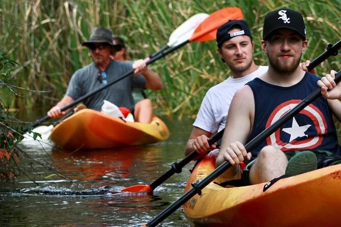 Nauti Exposures - Guided kayak tour through the Mangroves - Wildlife spotting: dolphins, manatees, and birds in real time