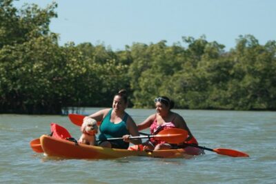 Nauti Exposures - Guided kayak tour through the Mangroves - Barefoot Beach Preserve: mangroves first, then a beach break