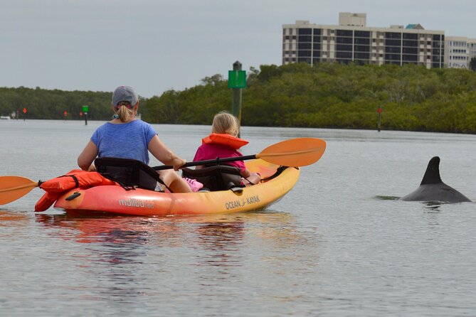 Nauti Exposures - Guided kayak tour through the Mangroves - How the guide makes first-time kayaking work