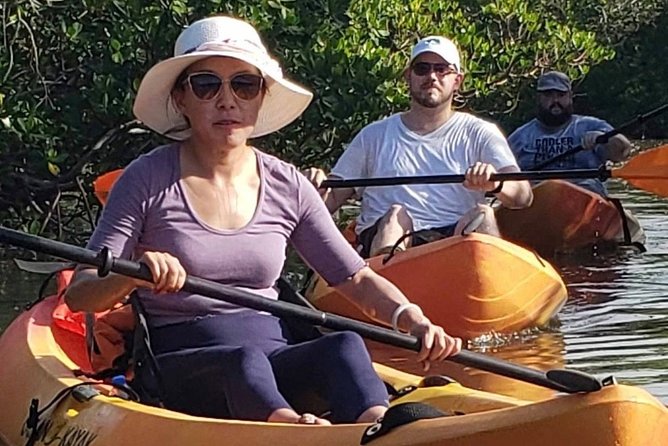 Nauti Exposures - Guided kayak tour through the Mangroves - Gear, comfort, and what you should bring