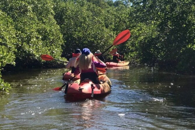 Nauti Exposures - Guided kayak tour through the Mangroves - Value and logistics: what you’re really paying for