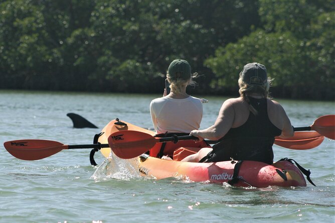 Nauti Exposures - Guided kayak tour through the Mangroves - Should you book Nauti Exposures?