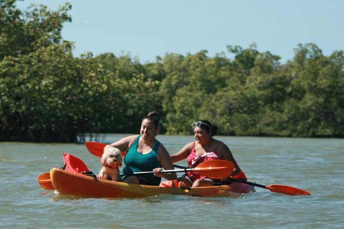 Nauti Exposures - Guided kayak tour through the Mangroves - Barefoot Beach Preserve: mangroves first, then a beach break