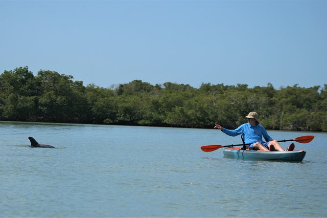 Nauti Exposures - Kayak rental Naples, FL - Cocohatchee River Park by Kayak: what 2 hours really feels like