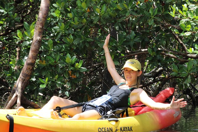 Nauti Exposures - Kayak rental Naples, FL - The Water Route: mangroves, birds, and those possible dolphin or manatee sightings