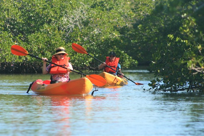 Nauti Exposures - Kayak rental Naples, FL - How physically demanding is it, really?