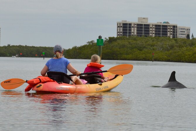 Nauti Exposures - Kayak rental Naples, FL - Morning timing: why earlier paddles can feel better