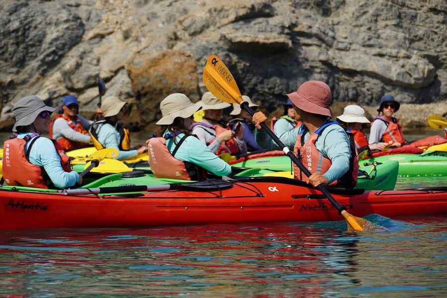 Naxos: Kampos Farm Sea Kayak Tour with Snorkeling & Picnic - The 12 km one-way paddle: caves, arches, and the coastal details you’ll miss from shore